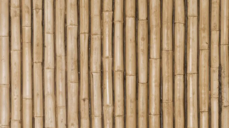 Bamboo Ochre