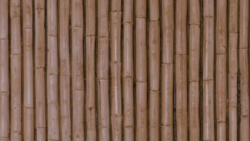 Bamboo Iroko