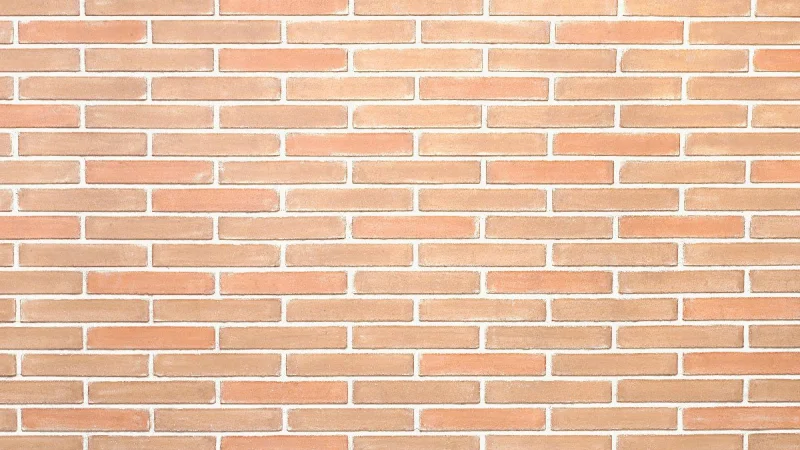 New Bicolor Brick